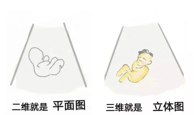 （图片来源自网络）