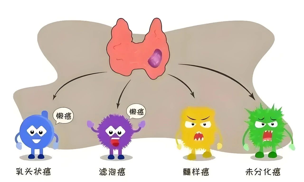 微信图片_20250501101524.jpg