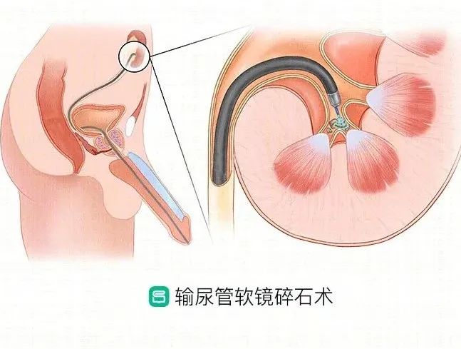 微信图片_20250531104017.jpg