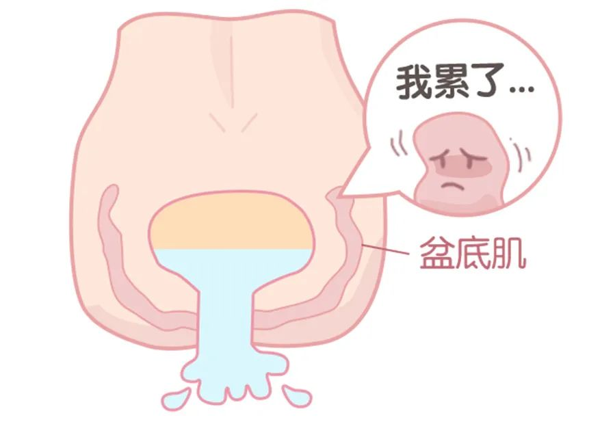 微信图片_20250602092343.png 微信图片_20250602092343.png