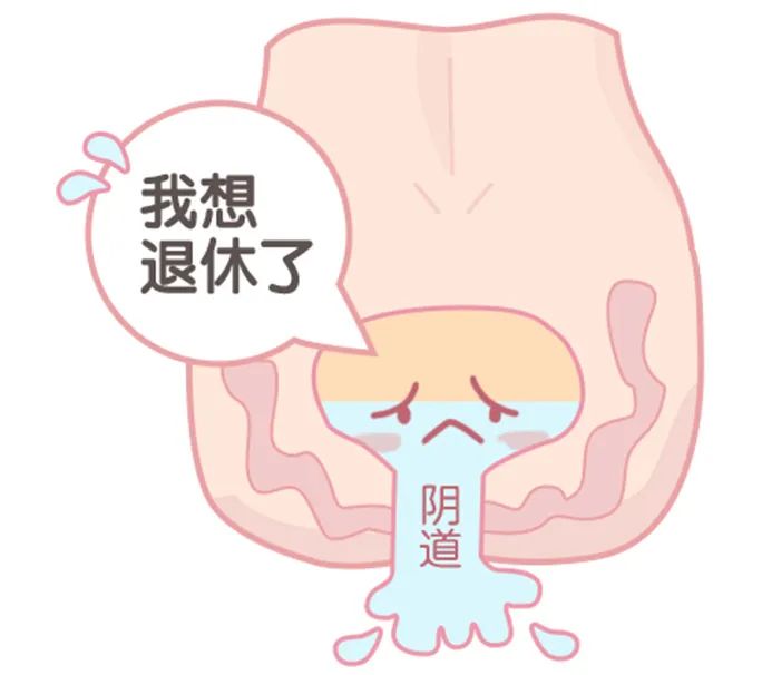 微信图片_20250602092348.jpg