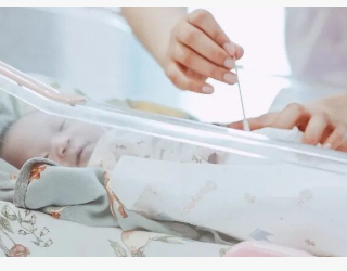 QQ20251204-094402.jpg QQ20251204-094402.jpg