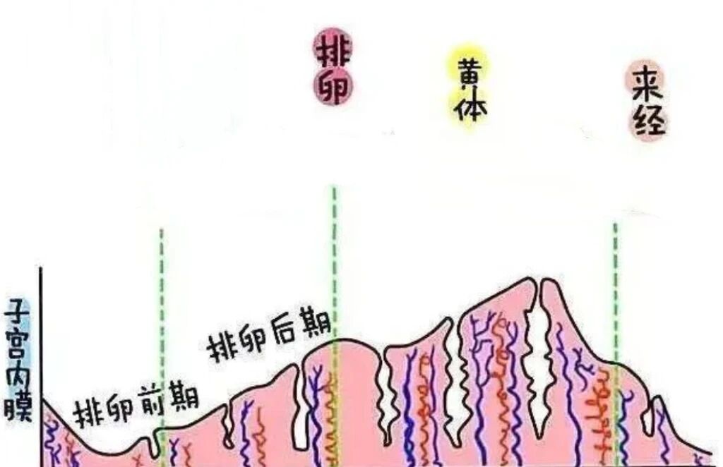 微信图片_2025-12-11_140509_922.jpg 微信图片_2025-12-11_140509_922.jpg