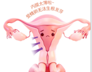 QQ20251218-095403.jpg QQ20251218-095403.jpg